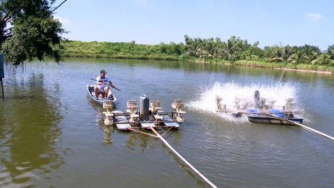 Tăng nguồn thu tr&ecirc;n những ch&acirc;n ruộng trũng