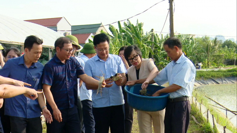 X&aacute;c định mật độ nu&ocirc;i ph&ugrave; hợp cho cua C&agrave; Ra thương phẩm