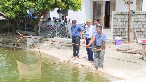 Th&agrave;nh lập tổ hội nghề nghiệp nu&ocirc;i trồng thuỷ sản