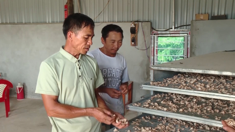 Hỗ trợ c&aacute;c hợp t&aacute;c x&atilde; ph&aacute;t triển sản phẩm OCOP
