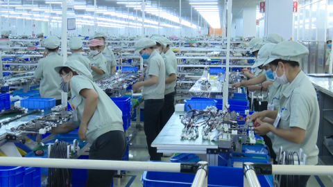Thời sự Trưa NinhBinhTV - 09/10/2025