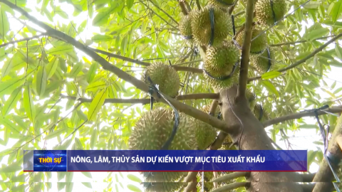 Thời sự Trưa NinhBinhTV - 23/10/2025.