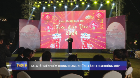 Gala tất ni&ecirc;n " Đ&ecirc;m Thung Nham - Những c&aacute;nh chim kh&ocirc;ng mỏi "