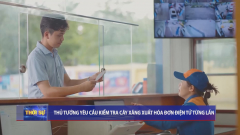 Thời sự Trưa NinhBinhTV - 11/12/2024