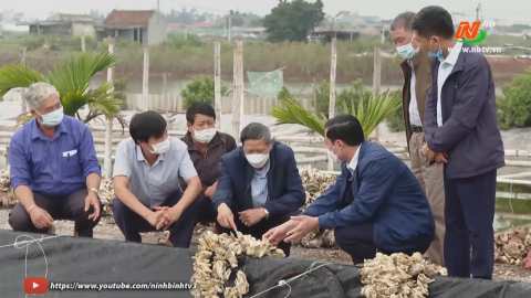 Tham quan m&ocirc; h&igrave;nh ương giống thủy sản ở Kim Trung