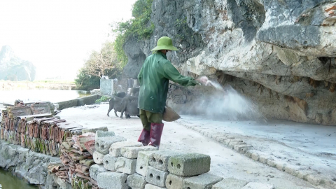 Dịch tả lợn Ch&acirc;u Phi diễn biến phức tạp ở Y&ecirc;n M&ocirc;