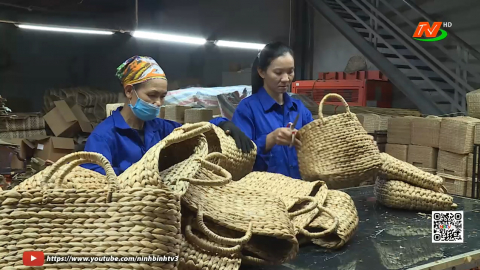 N&ocirc;ng d&acirc;n l&agrave;m OCOP - Chủ động hội nhập