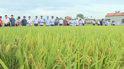 Y&ecirc;n M&ocirc; tổng kết vụ m&ugrave;a năm 2022