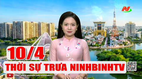 Thời sự Trưa NinhBinhTV - 10/5/2026