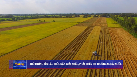 Thời sự Trưa NinhBinhTV - 25/9/2025
