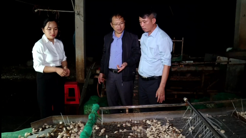 Ngao Kim Sơn khẳng định thương hiệu tr&ecirc;n thị trường