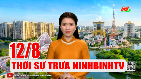 Thời sự Trưa NinhBinhTV - 12/8/2026