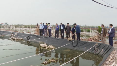 Kim Sơn phấn đấu đạt chuẩn huyện NTM v&agrave;o năm 2023