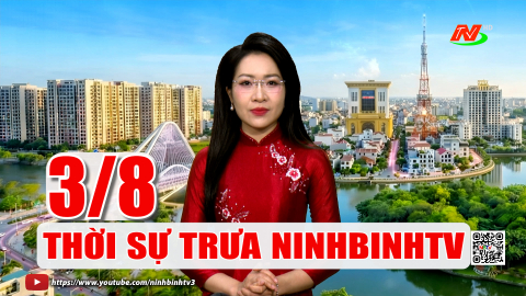 Thời sự Trưa NinhBinhTV - 03/8/2026