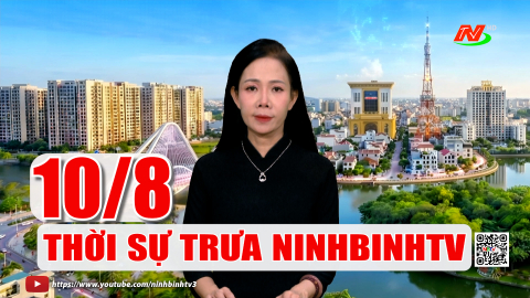 Thời sự Trưa NinhBinhTV - 10/8/2026