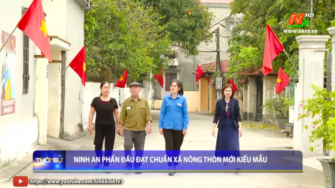 Ninh An phấn đấu đạt chuẩn x&atilde; n&ocirc;ng th&ocirc;n mới kiểu mẫu