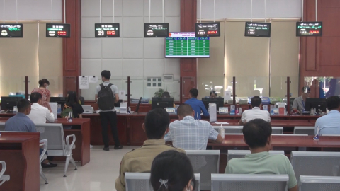 Thời sự Trưa NinhBinhTV - 08/05/2023