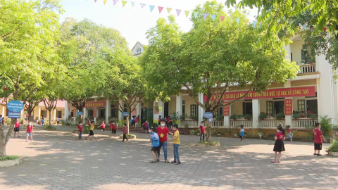 Quan t&acirc;m v&acirc;́n đ&ecirc;̀ t&acirc;m lý học đường ở trường ti&ecirc;̉u học L&ecirc; H&ocirc;̀ng Phong