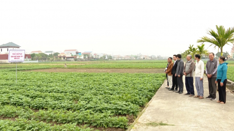 Lắng nghe, giải quyết kịp thời &yacute; kiến, kiến nghị của cử tri
