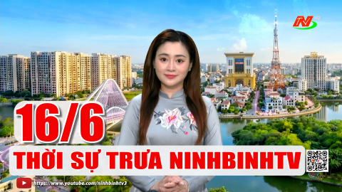 Thời sự Trưa NinhBinhTV - 16/6/2026