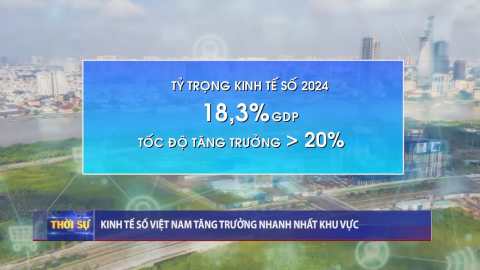 Thời sự Trưa NinhBinhTV - 08/02/2025