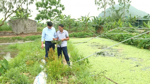 Y&ecirc;n Đồng n&acirc;ng cao chất lượng ti&ecirc;u ch&iacute; thu nhập