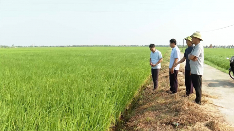 Hiệu quả li&ecirc;n kết chuỗi gi&aacute; trị n&ocirc;ng sản Ninh B&igrave;nh