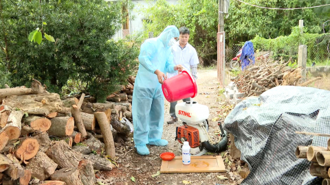 Ph&ograve;ng chống bệnh sốt xuất huyết