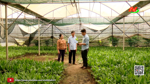 Trần Thương x&acirc;y dựng vườn mẫu, n&acirc;ng cao thu nhập cho người d&acirc;n