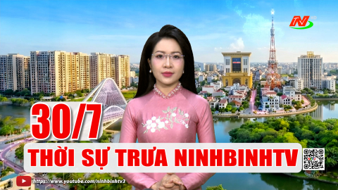Thời sự Trưa NinhBinhTV - 30/7/2026