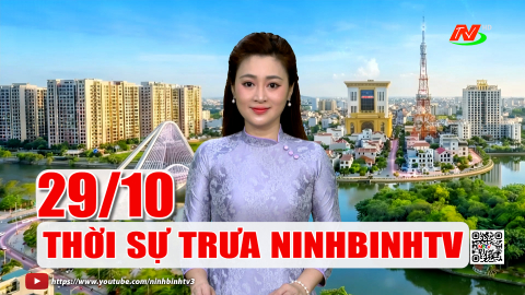 Thời sự Trưa NinhBinhTV - 29/10/2026