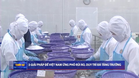 Thời sự Trưa NinhBinhTV - 18/10/2025.