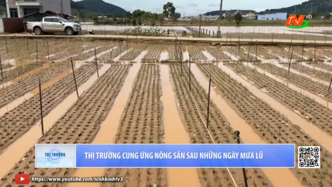 Thị trường cung ứng n&ocirc;ng sản sau những ng&agrave;y mưa lũ 