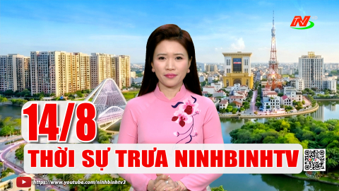 Thời sự Trưa NinhBinhTV - 14/8/2026