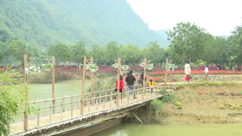 Ước vọng du lịch khởi sắc trở lại