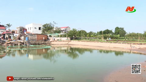 X&acirc;y dựng thương hiệu n&ocirc;ng sản Ninh B&igrave;nh
