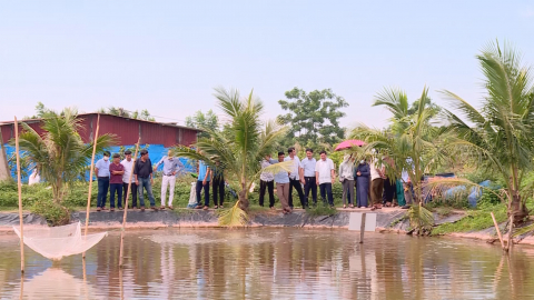 Kim Sơn x&acirc;y dựng m&ocirc; h&igrave;nh n&ocirc;ng nghiệp li&ecirc;n kết chuỗi gi&aacute; trị