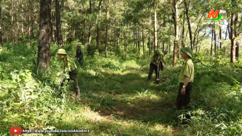 Chủ động trong c&ocirc;ng t&aacute;c ph&ograve;ng, chống ch&aacute;y rừng