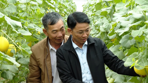 N&ocirc;ng d&acirc;n ti&ecirc;u biểu l&agrave;m kinh tế giỏi ở phường Y&ecirc;n Thắng