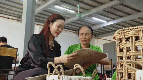 Đưa sản phẩm c&oacute;i Kim Sơn vươn tầm thế giới