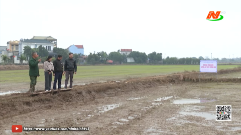 N&ocirc;ng d&acirc;n phường Trường Thi sản xuất, kinh doanh giỏi