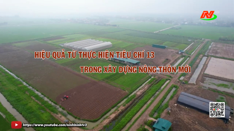 Hiệu quả từ thực hiện ti&ecirc;u ch&iacute; số 13 trong x&acirc;y dựng n&ocirc;ng th&ocirc;n mới