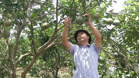 N&ocirc;ng th&ocirc;n mới n&acirc;ng cao, kiểu mẫu - Niềm tin gửi tới Đại hội đại biểu Đảng bộ Tỉnh