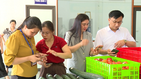 Ninh B&igrave;nh tăng cường kiểm so&aacute;t an to&agrave;n thực phẩm bếp ăn trường học