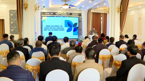 Tập huấn n&acirc;ng cao năng lực quản trị cho c&aacute;n bộ quản l&yacute; HTX
