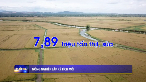 N&ocirc;ng nghiệp lập kỳ t&iacute;ch mới