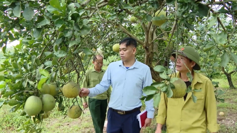 Hội CCB phường Duy Ti&ecirc;n ch&uacute; trọng ph&aacute;t triển m&ocirc; h&igrave;nh kinh tế trong hội vi&ecirc;n