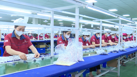 C&ocirc;ng đo&agrave;n cơ sở đồng h&agrave;nh c&ugrave;ng doanh nghiệp về đ&iacute;ch cuối năm