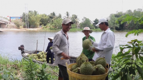 Thời sự Trưa NinhBinhTV - 09/01/2025