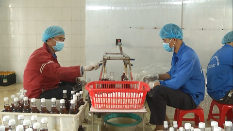 Đẩy mạnh ph&aacute;t triển c&aacute;c sản phẩm OCOP từ thủy sản